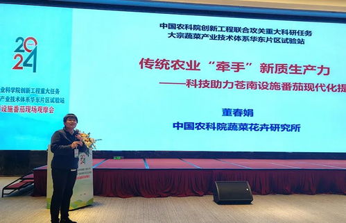 科技赋能，降本增效 中国农科院助力设施番茄产业变革